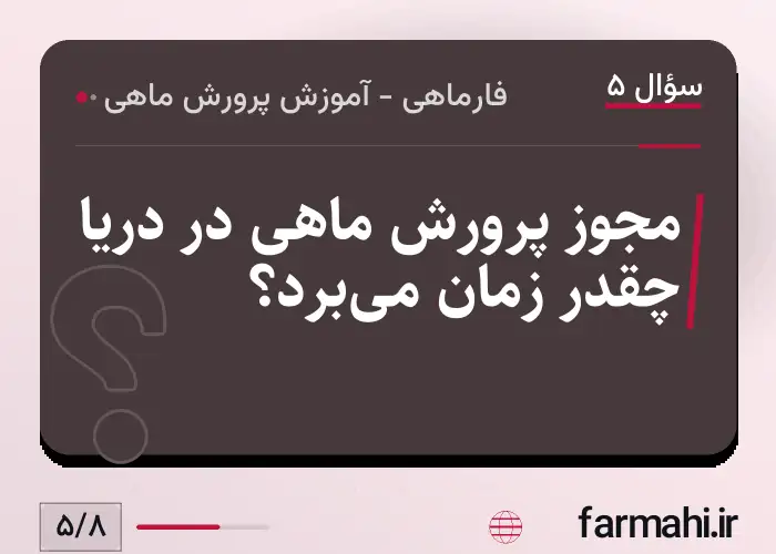 مجوز پرورش ماهی در دریا چقدر زمان می‌برد؟