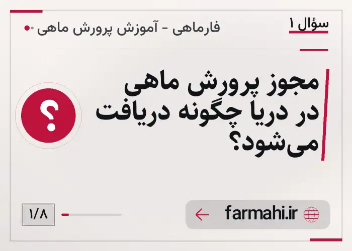 مجوز پرورش ماهی در دریا چگونه دریافت می‌شود؟