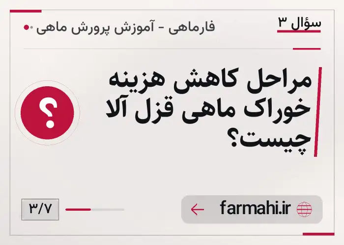 مراحل کاهش هزینه خوراک ماهی قزل آلا چیست؟