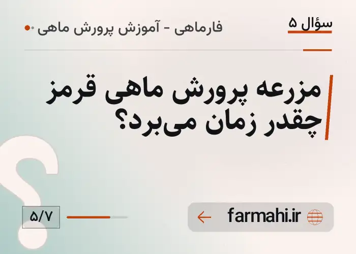 مزرعه پرورش ماهی قرمز چقدر زمان می‌برد؟