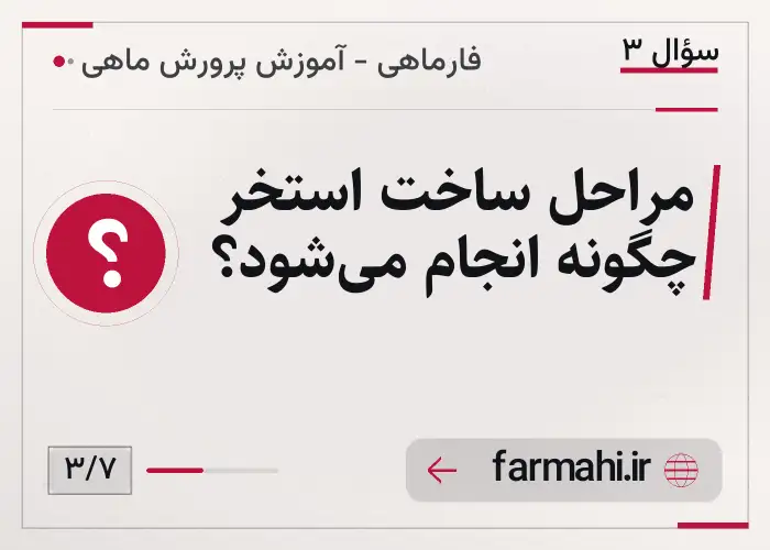 مراحل ساخت استخر چگونه انجام می‌شود؟