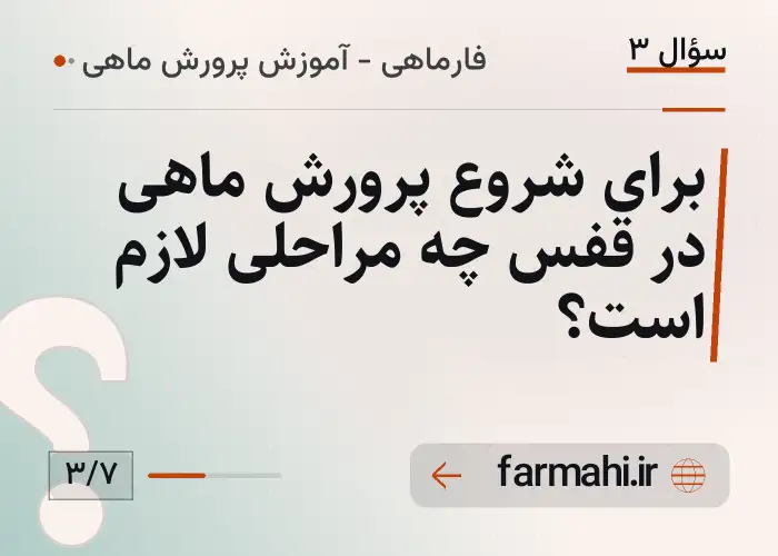 برای شروع پرورش ماهی در قفس چه مراحلی لازم است؟