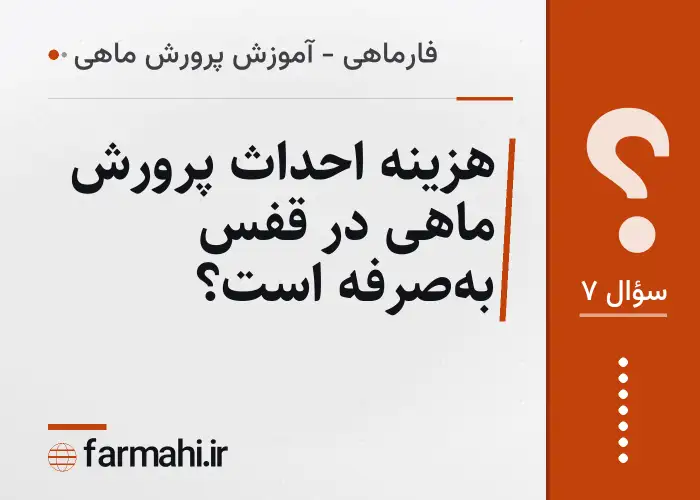 هزینه احداث پرورش ماهی در قفس به‌صرفه است؟