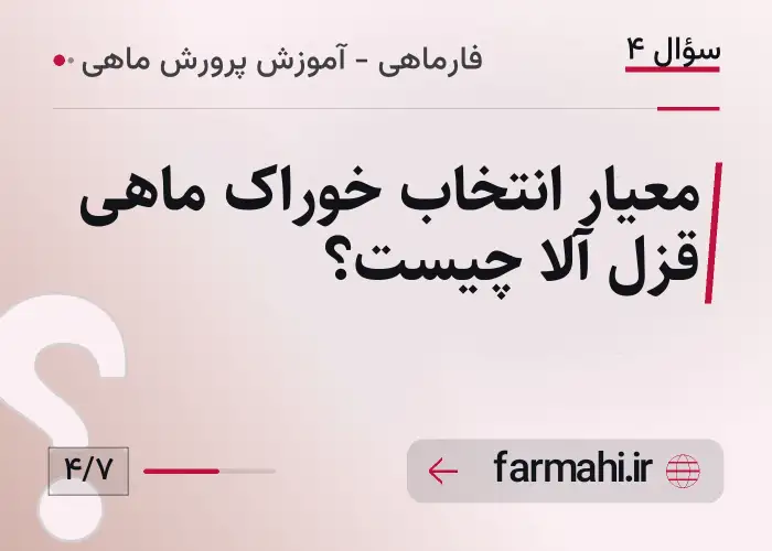 معیار انتخاب خوراک ماهی قزل آلا چیست؟