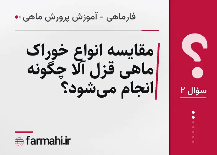 مقایسه انواع خوراک ماهی قزل آلا چگونه انجام می‌شود؟