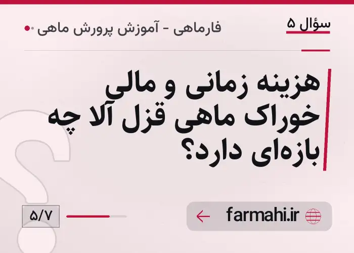 هزینه زمانی و مالی خوراک ماهی قزل آلا چه بازه‌ای دارد؟