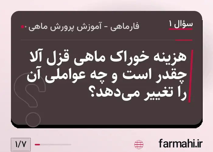 هزینه خوراک ماهی قزل آلا چقدر است و چه عواملی آن را تغییر می‌دهد؟