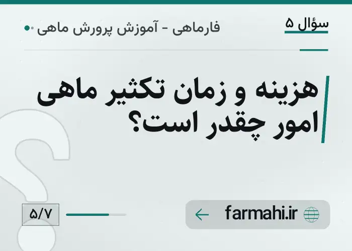 هزینه و زمان تکثیر ماهی امور چقدر است؟
