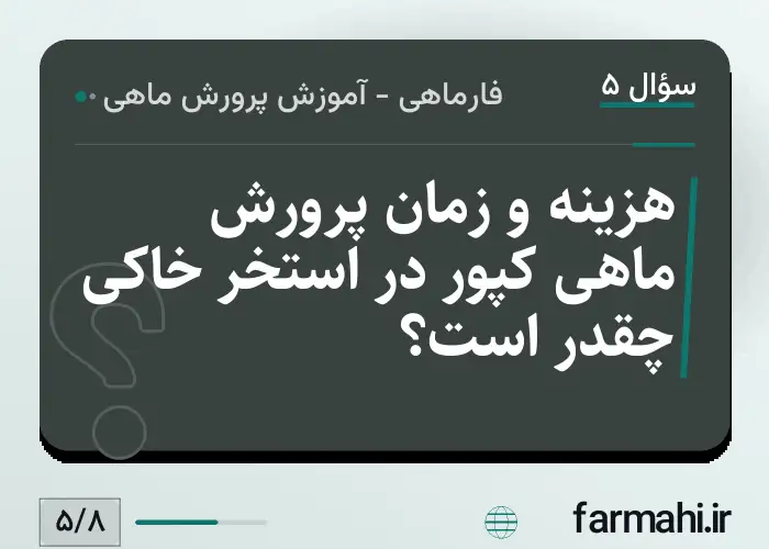 هزینه و زمان پرورش ماهی کپور در استخر خاکی چقدر است؟