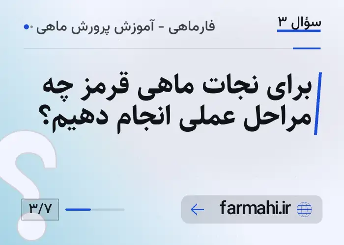 برای نجات ماهی قرمز چه مراحل عملی انجام دهیم؟