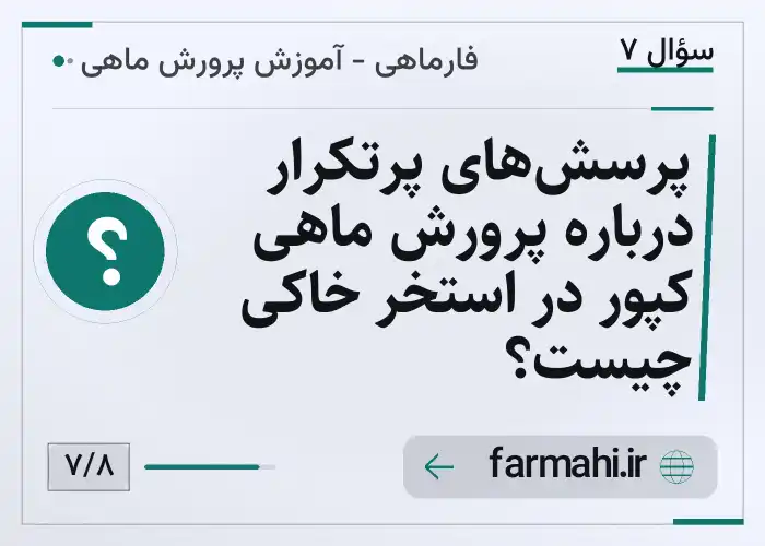 پرسش‌های پرتکرار درباره پرورش ماهی کپور در استخر خاکی چیست؟