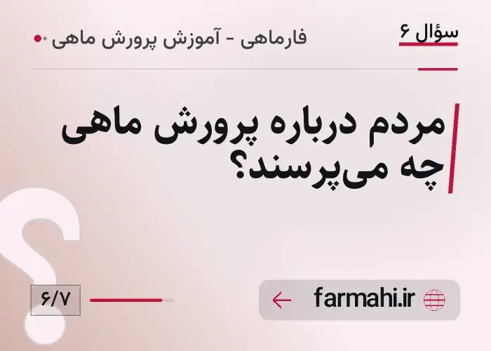 مردم درباره پرورش ماهی چه می‌پرسند؟
