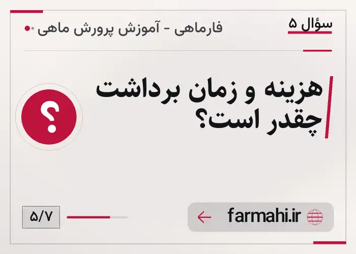 هزینه و زمان برداشت چقدر است؟