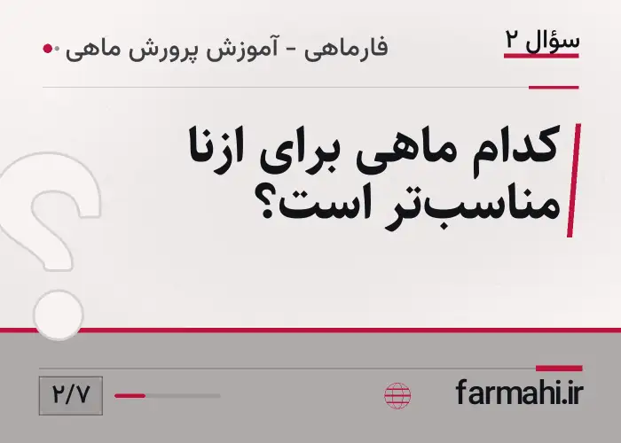 کدام ماهی برای ازنا مناسب‌تر است؟
