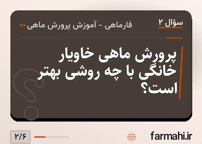پرورش ماهی خاویار خانگی با چه روشی بهتر است؟