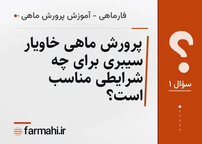 پرورش ماهی خاویار سیبری برای چه شرایطی مناسب است؟