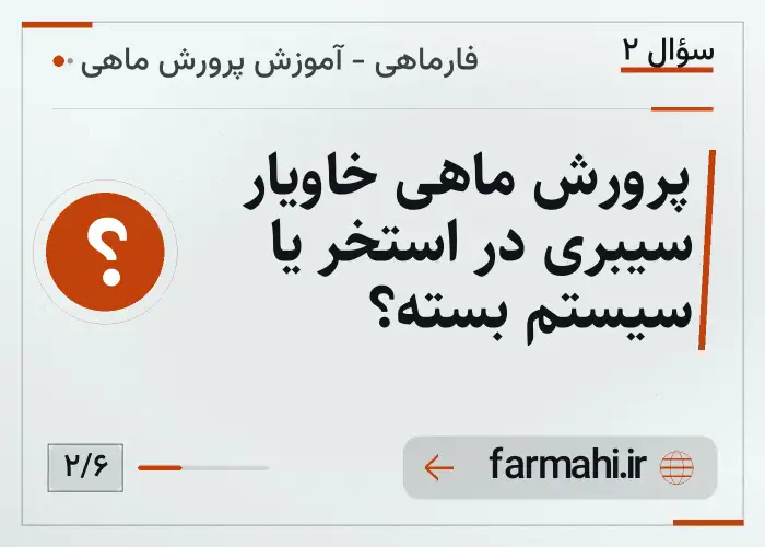 پرورش ماهی خاویار سیبری در استخر یا سیستم بسته؟