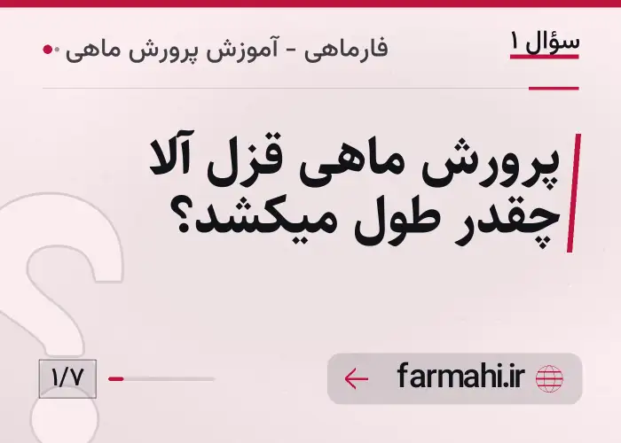 پرورش ماهی قزل آلا چقدر طول میکشد؟