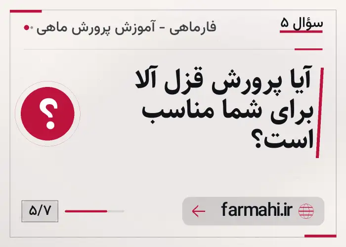آیا پرورش قزل آلا برای شما مناسب است؟
