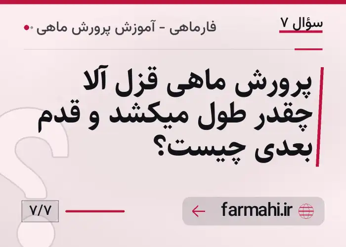 پرورش ماهی قزل آلا چقدر طول میکشد و قدم بعدی چیست؟