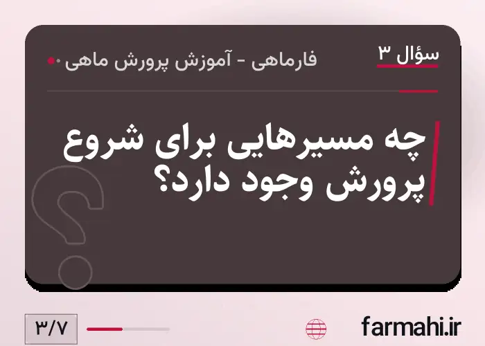 چه مسیرهایی برای شروع پرورش وجود دارد؟