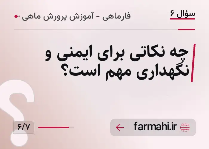 چه نکاتی برای ایمنی و نگهداری مهم است؟