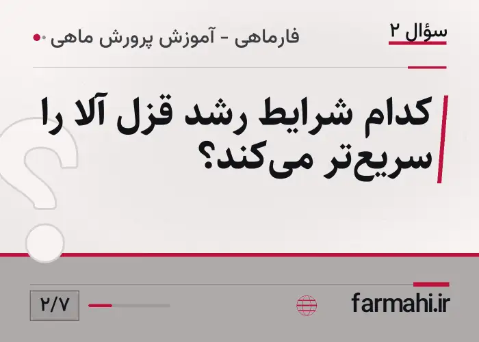 کدام شرایط رشد قزل آلا را سریع‌تر می‌کند؟