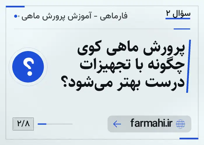 پرورش ماهی کوی چگونه با تجهیزات درست بهتر می‌شود؟