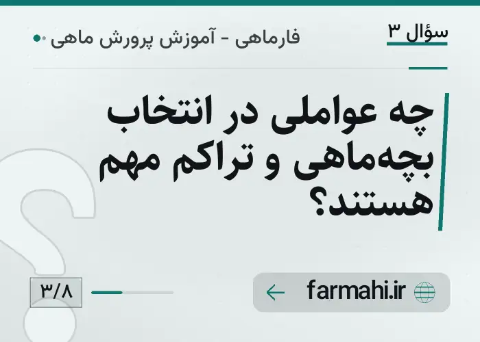 چه عواملی در انتخاب بچه‌ماهی و تراکم مهم هستند؟