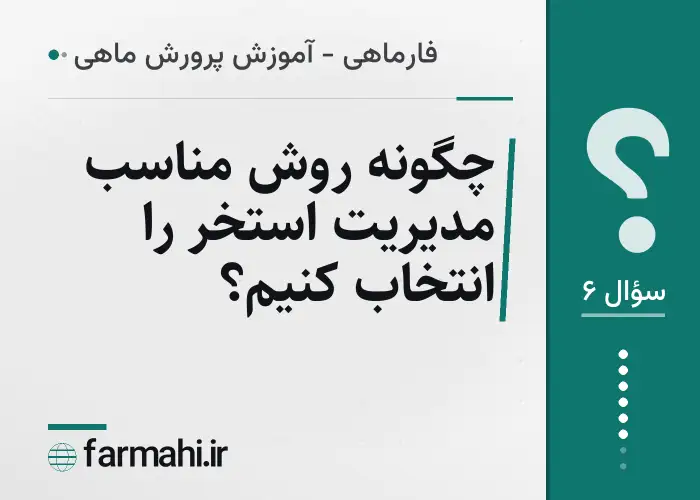 چگونه روش مناسب مدیریت استخر را انتخاب کنیم؟