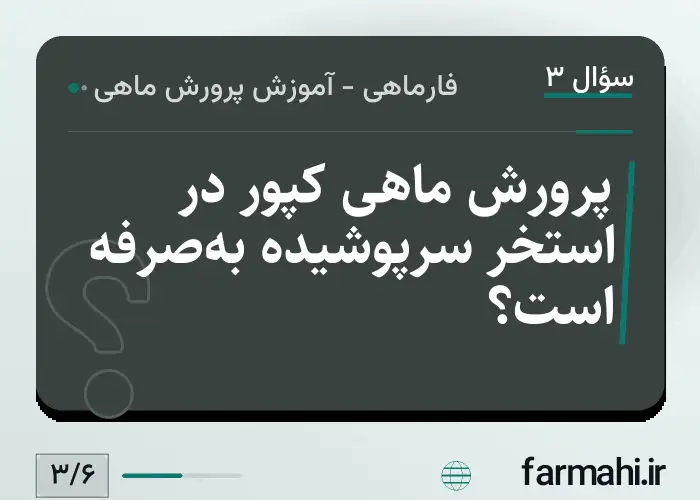 پرورش ماهی کپور در استخر سرپوشیده به‌صرفه است؟