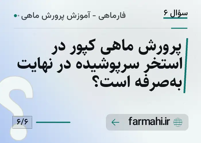 پرورش ماهی کپور در استخر سرپوشیده در نهایت به‌صرفه است؟