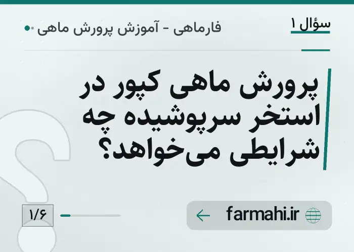 پرورش ماهی کپور در استخر سرپوشیده چه شرایطی می‌خواهد؟
