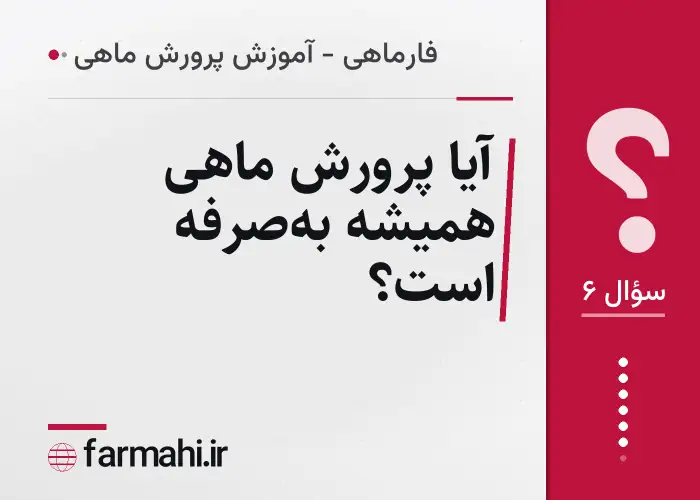 آیا پرورش ماهی همیشه به‌صرفه است؟