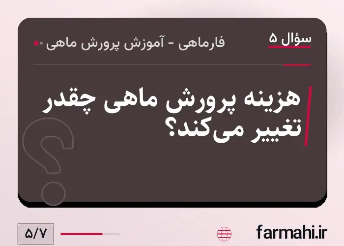 هزینه پرورش ماهی چقدر تغییر می‌کند؟