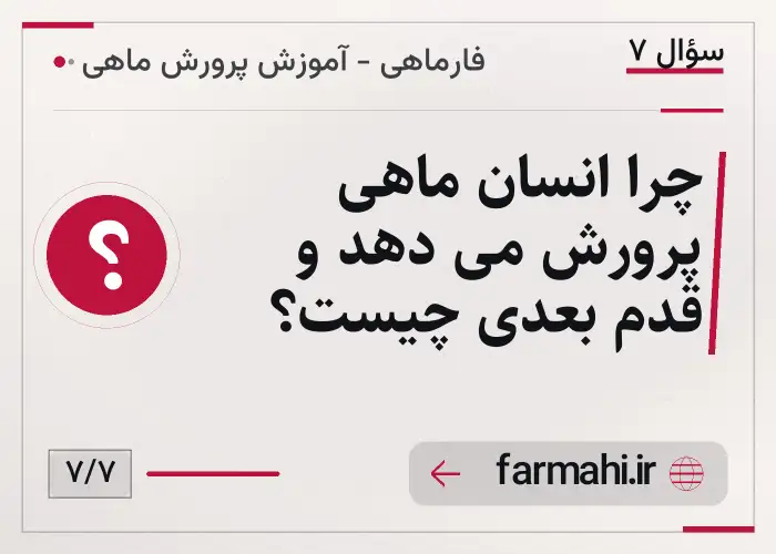 چرا انسان ماهی پرورش می دهد و قدم بعدی چیست؟