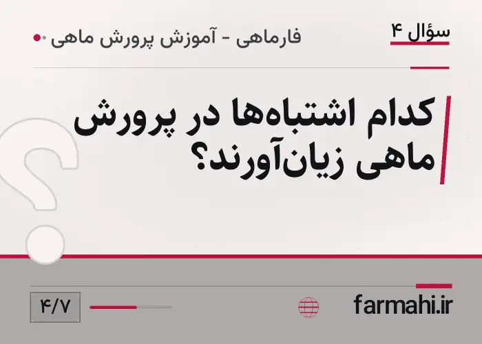 کدام اشتباه‌ها در پرورش ماهی زیان‌آورند؟