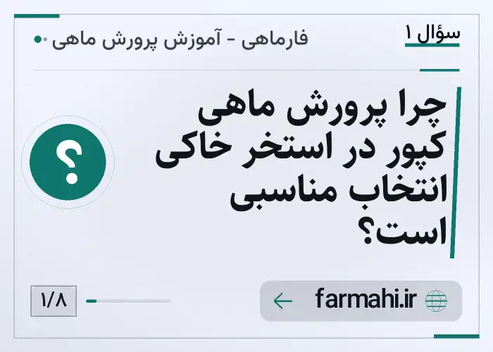چرا پرورش ماهی کپور در استخر خاکی انتخاب مناسبی است؟