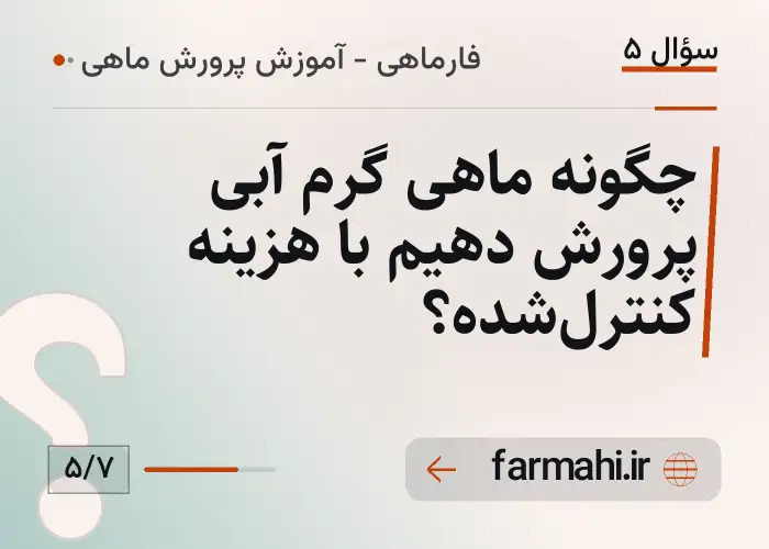 چگونه ماهی گرم آبی پرورش دهیم با هزینه کنترل‌شده؟