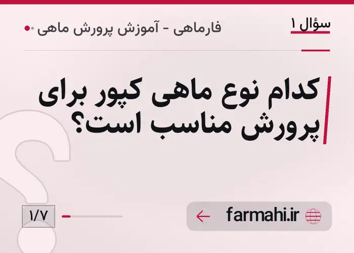 کدام نوع ماهی کپور برای پرورش مناسب است؟