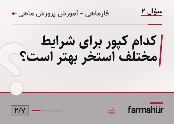 کدام کپور برای شرایط مختلف استخر بهتر است؟