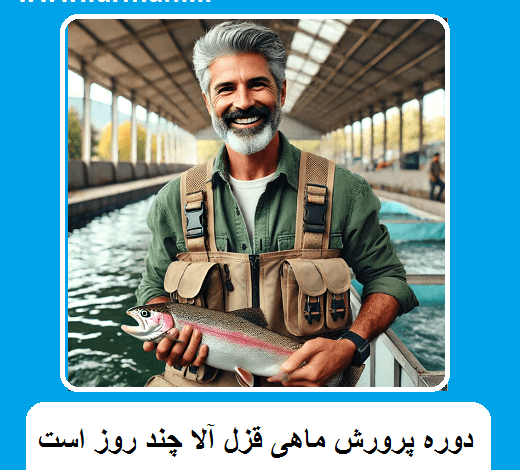 دوره پرورش ماهی قزل آلا چند روز است