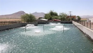 برج هواده پرورش ماهی