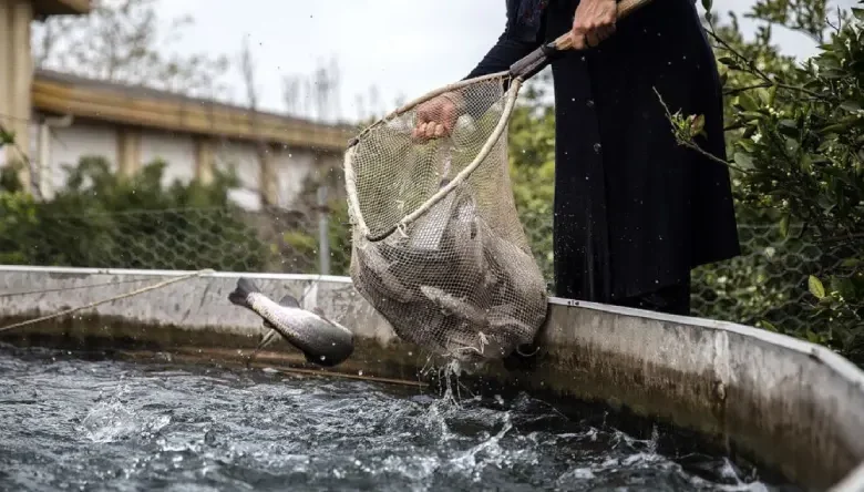 پرورش ماهی در خانه