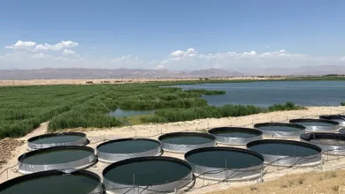 انواع استخر پرورش ماهی