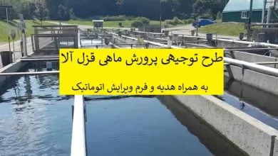 طرح توجیهی پرورش ماهی در استخر پیش ساخته