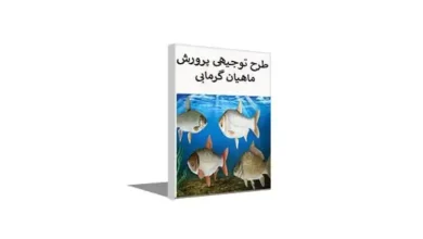 طرح توجیهی پرورش ماهی کپور