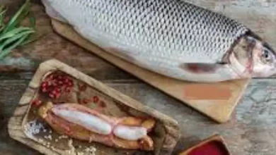 غذای ماهی سفید دریای خزر