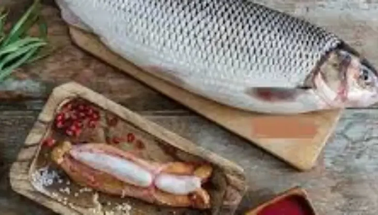 غذای ماهی سفید دریای خزر