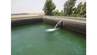 نحوه ساخت استخر پرورش ماهی کپور